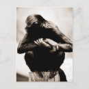 Suche nach schwarze spinnen postkarten Tierwelt