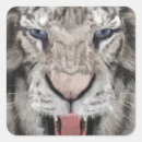 Suche nach tigerkopf aufkleber Tigerliebhaber