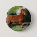 Suche nach miniatur buttons Foto
