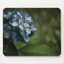 Suche nach hydrangea mousepads Blau