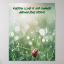 Suche nach ladybug poster Makrofotografie