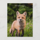 Suche nach roter fuchs poster Bezaubernd