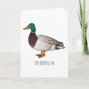 Suche nach enten karten Vogelvogel