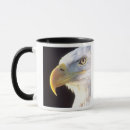 Suche nach weißkopfseeadler tassen Nahaufnahme