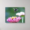 Suche nach hummel leinwandbilder Blume