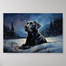 Suche nach schwarzer labrador retriever hund poster Schnee