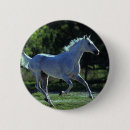 Suche nach stallion buttons Laufen