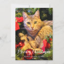Suche nach cat christmas karten Miauen