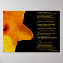 Suche nach narzisse poster Natur
