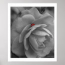 Suche nach wanzen poster Rot