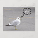 Suche nach richtung postkarten Vögel
