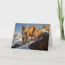 Suche nach cougar postkarten Begrüßung