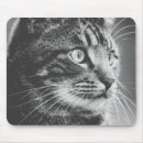 Suche nach das große auge mousepads Katze
