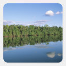 Suche nach amazonas aufkleber Regenwald