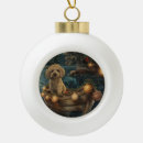 Suche nach havanese ornamente Haustier