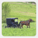 Suche nach amisch aufkleber Buggy