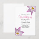 Suche nach blume lilly Rosa