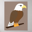 Suche nach vogel cartoon poster Natur
