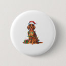 Suche nach irish buttons Welpe