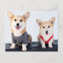 Suche nach zunge postkarten Welpe