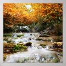 Suche nach wald im herbst poster Schön