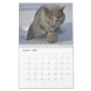 Suche nach katze kalender Spielerisch
