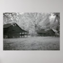 Suche nach barn poster Fotografie