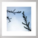 Suche nach die natur poster Inspirierend