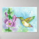 Suche nach hummingbird poster Blume
