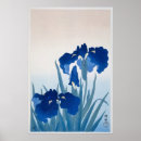 Suche nach koson poster Natur