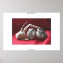 Suche nach knoblauch poster Nelken