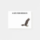 Suche nach fliegenadler poster Raptor