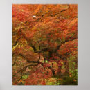 Suche nach japanischer ahorn poster Herbst