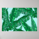 Suche nach tropische palmen poster Exotisch