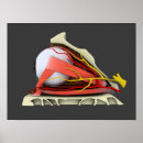 Suche nach human anatomy poster Schlemmerkanal