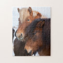 Suche nach isländisches pferd puzzle Atlantisch