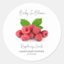 Suche nach raspberry aufkleber Babyparty