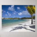 Suche nach mauritius poster Palme