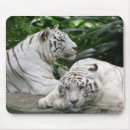 Suche nach weißer tiger mousepads Safari
