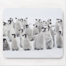 Suche nach gruppe mousepads Natur