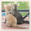 Suche nach fenster untersetzer Niedlich