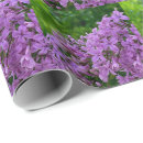 Suche nach flieder geschenkpapier Blumen