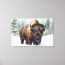 Suche nach bison leinwandbilder Tierwelt