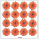 Suche nach orange gerbera aufkleber Blume