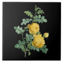 Suche nach vintage illustrationen fliesen Botanisch