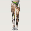 Suche nach tigerjunges Für sie