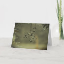 Suche nach einfrieren karten Natur