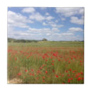 Suche nach pflaumen fliesen Wiese