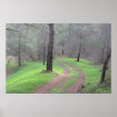 Suche nach pine forest poster Winter