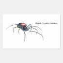 Suche nach große spinne aufkleber Für kinder